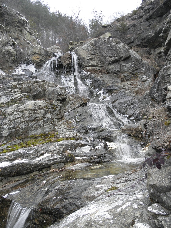 @водоподче@