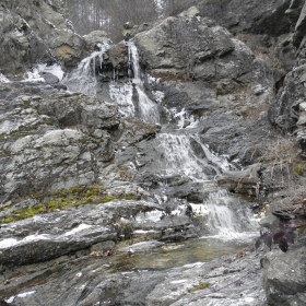 @водоподче@