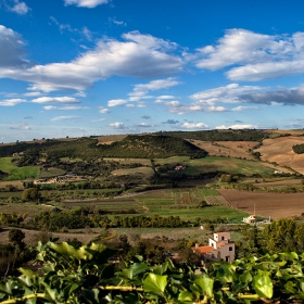 от Tarquinia