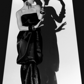The shadow