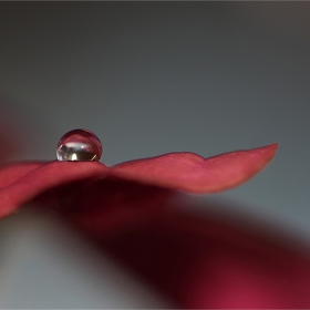 Droplet