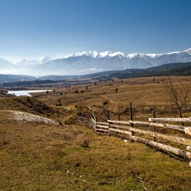 Край село Бачево