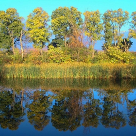 Водно огледало