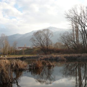 витоша в парка