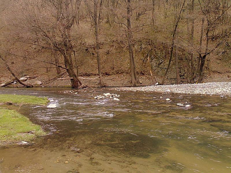 рекичка