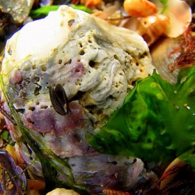 Морски дарове