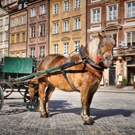 Stare Miasto_3