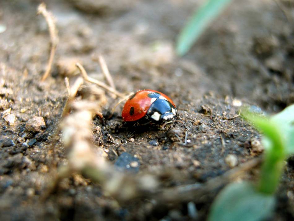 It's all about macro, ain't it?..