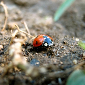 It's all about macro, ain't it?..