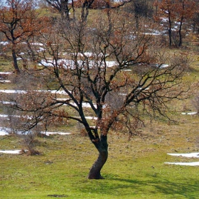 Пейзаж