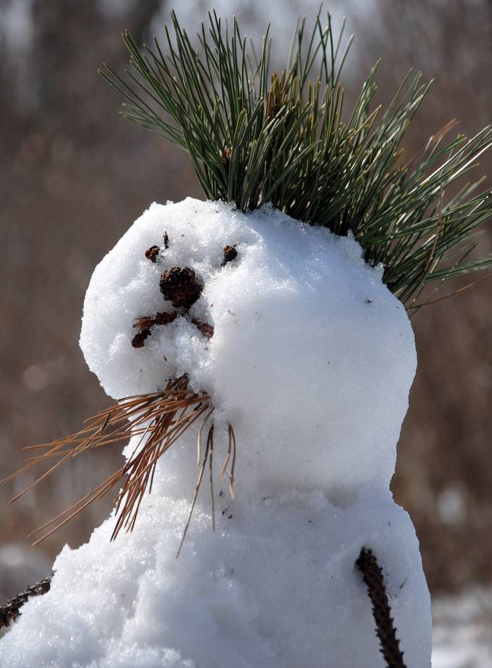 Snowbayo