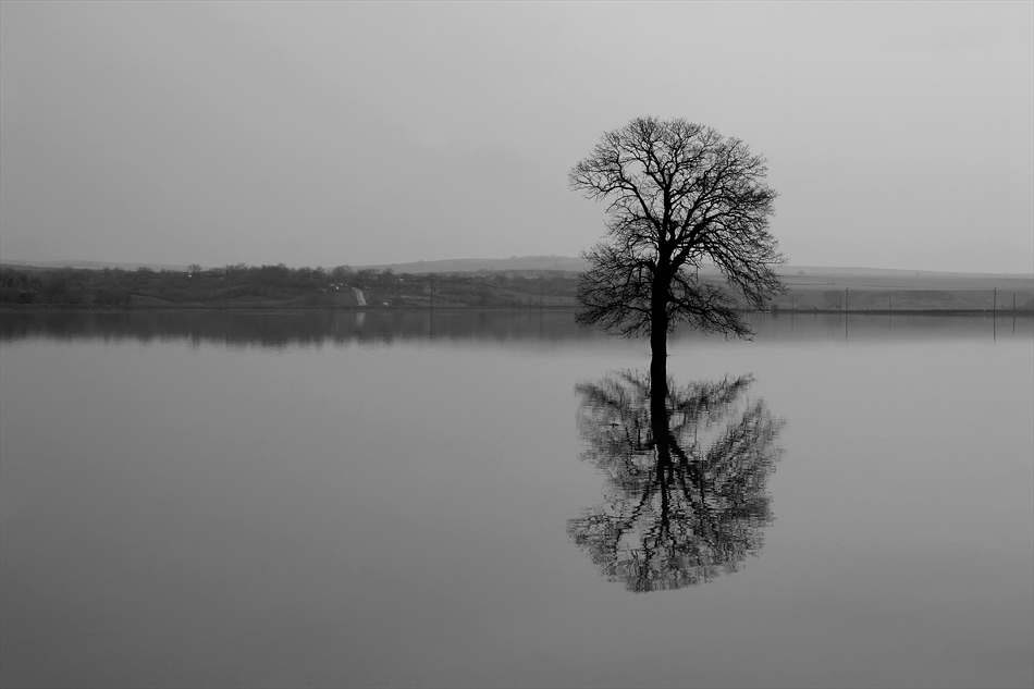 Silence