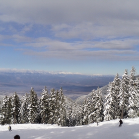 Skiing