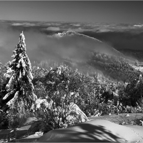 Мартенско...BW