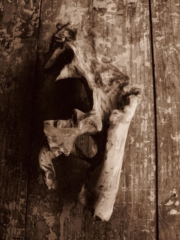 ...Face of the thing