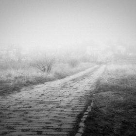 Misty stories