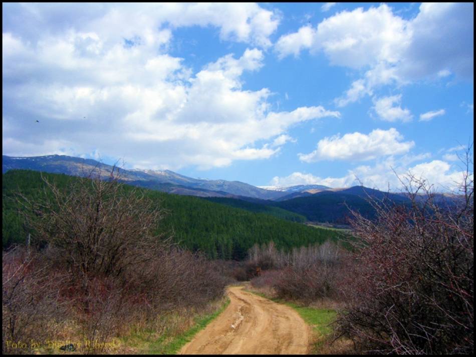 Витоша и село Кладница