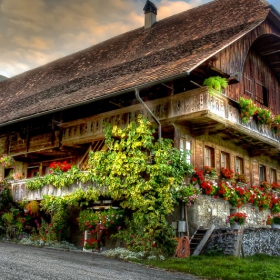 Hobbitland I