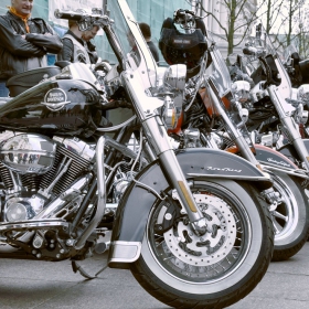 Harley-Davidson Club