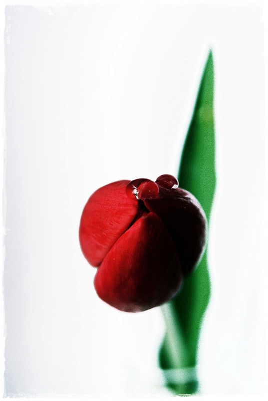 New Life