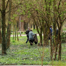 Почистване на градския парк в Ямбол /02.04.2011/ -2