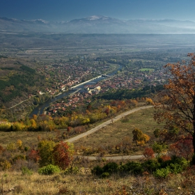 Есен в близък, среден и далечен план