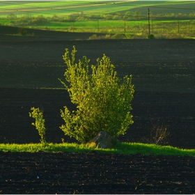 Контрасти