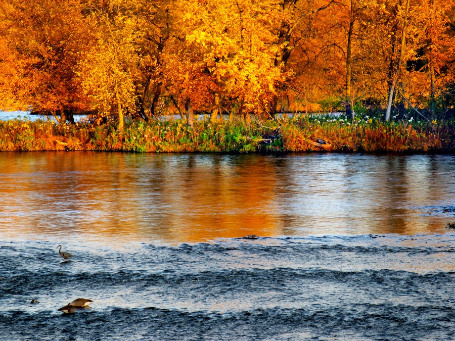 autumn