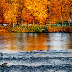 autumn