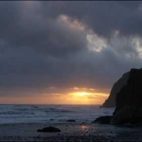 Lonely tree and dying sun on the coast of the Pacific ocean