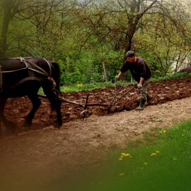 Балканско земеделие - 2010 г.