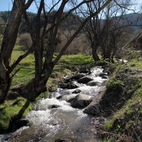 Когато водата през глава разказваше на полегналите сенки...