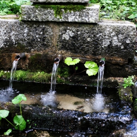 коя е с живата вода