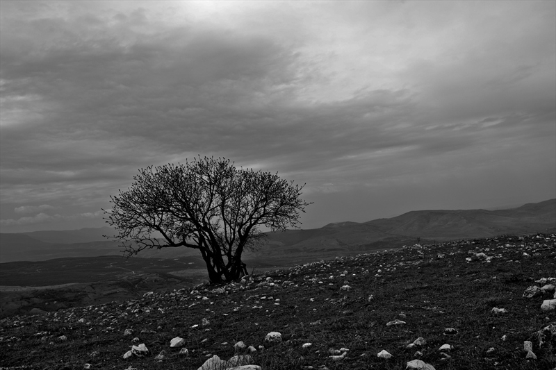 Alone