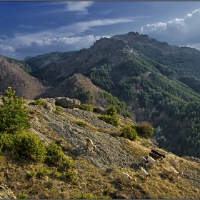 Край село Осеново