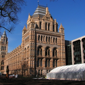 Лондон - Natural History Museum