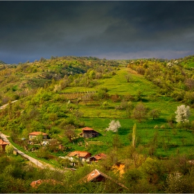 Ракитна пролет