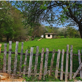 Край оградата