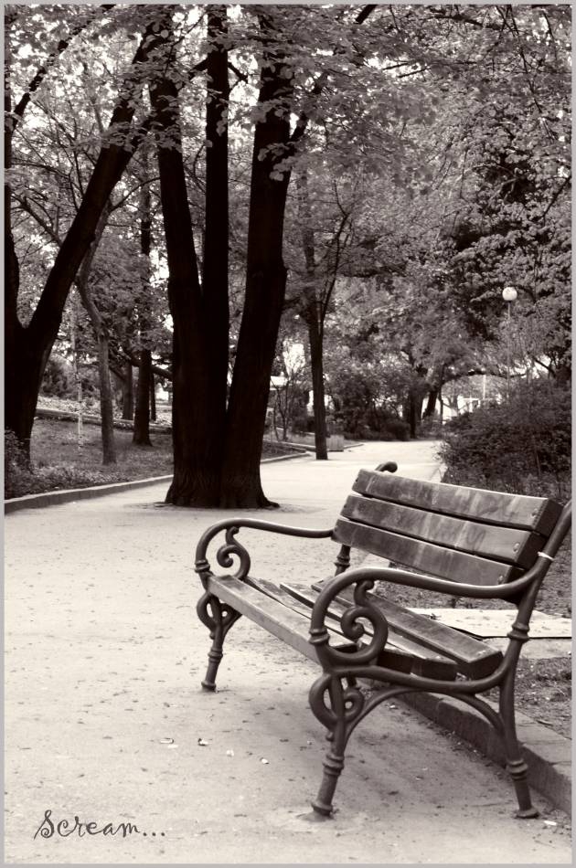 Daydream...