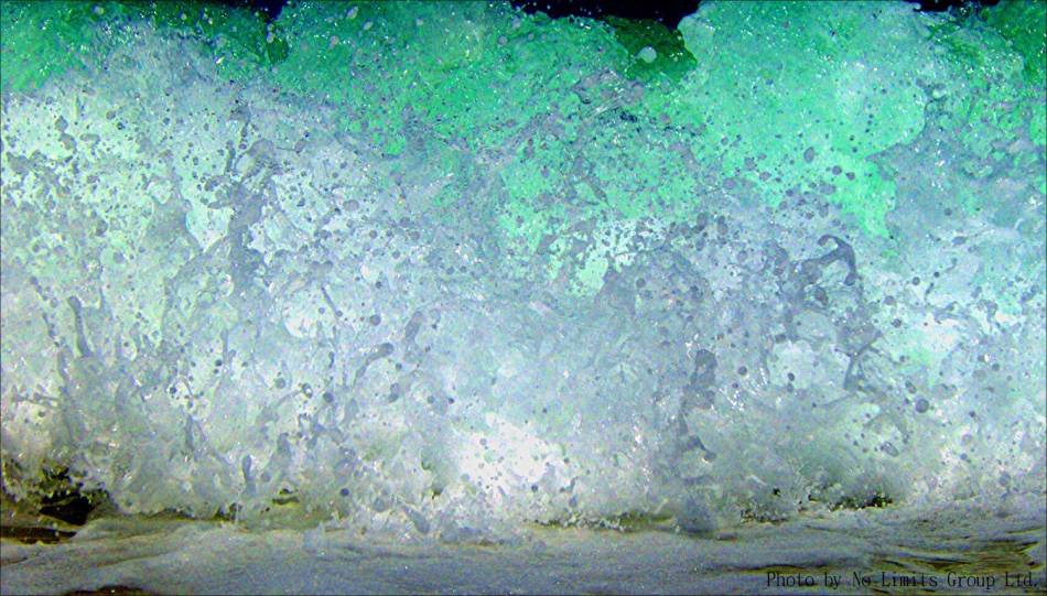 Genetics of the water
