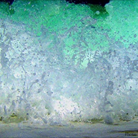 Genetics of the water