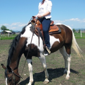 В света на „Дивия запад”/Първи Country West Fest ,14-15.05.2011.г, Национален Хиподрум Банкя/ - 8