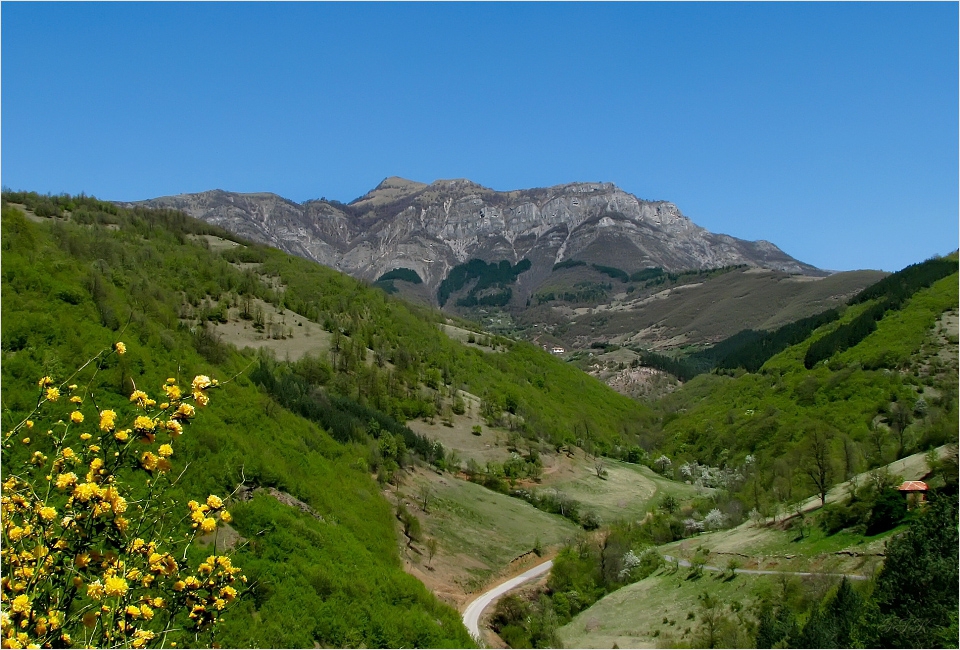 Старопланинско