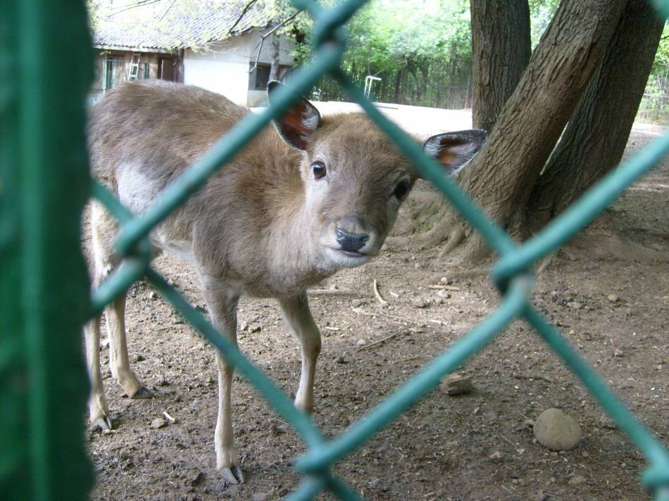Снимка без име