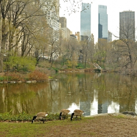 New York, Central Park