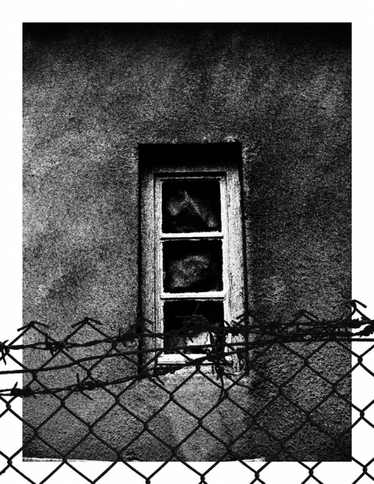window