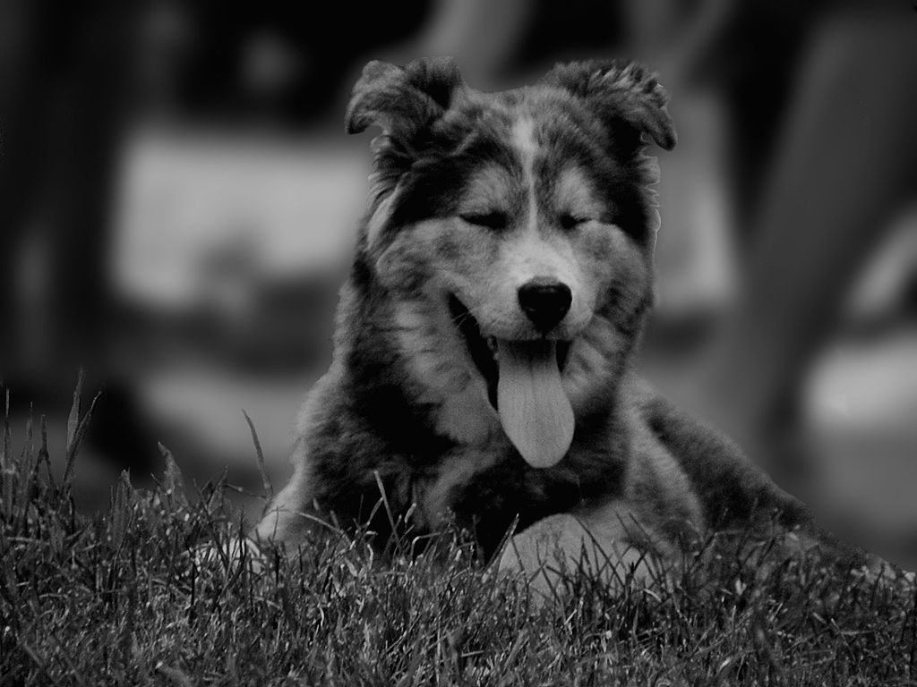 ^_^