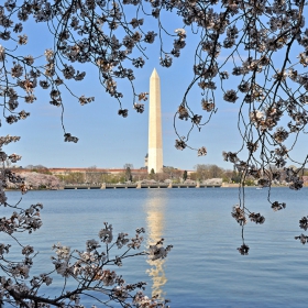 Washington Monument