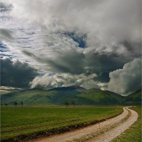 The Green Way...