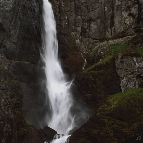 Старопланинска водичка..... mountain Stara Planina